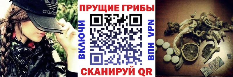 Галлюциногенные грибы GOLDEN TEACHER  даркнет сайт  Пролетарск 